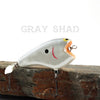 PH Crazy Ace in Gray Shad
