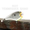 PH Crazy Ace in Hot Tennessee Shad