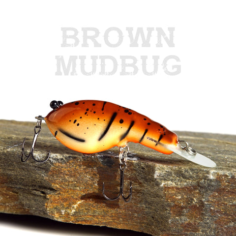 Brown Mudbug Cyber Craw